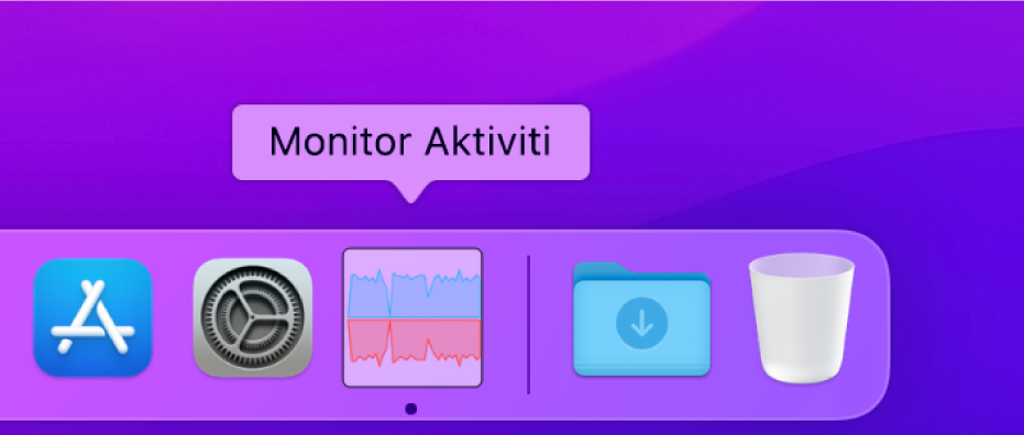 Ikon Monitor Aktiviti dalam Dock menunjukkan aktiviti rangkaian.