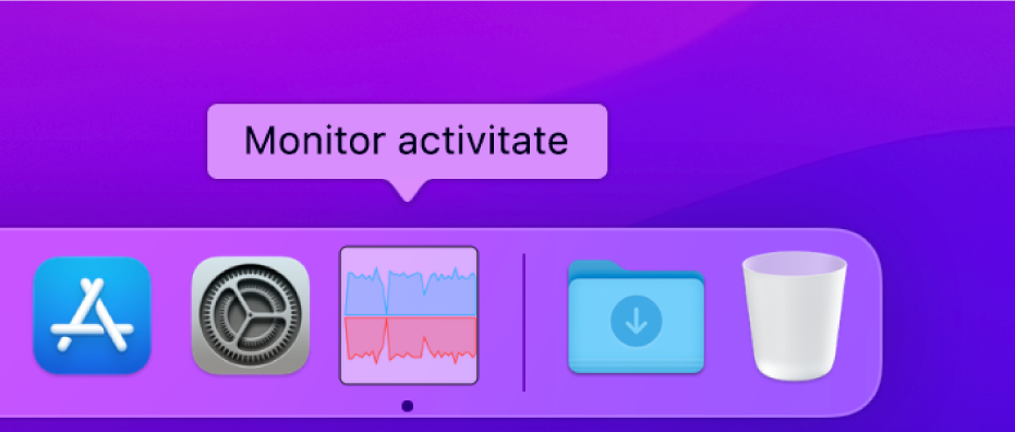 Pictograma Monitor activitate din Dock, afișând activitatea rețelei.