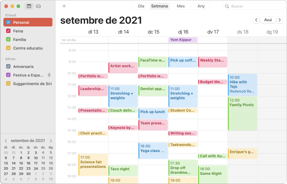 Finestra de l’app Calendari en la vista mensual que mostra calendaris personals, laborals i familiars codificats amb colors a la barra lateral, sota la capçalera del compte iCloud.