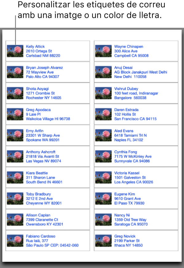 Previsualització de les etiquetes de correu postal, personalitzades amb una imatge i un color de text, llestes per imprimir-les.