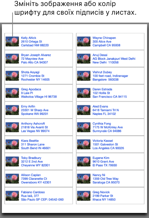 Попередній перегляд поштових наклейок із готовим до друку зображенням і кольором шрифту.