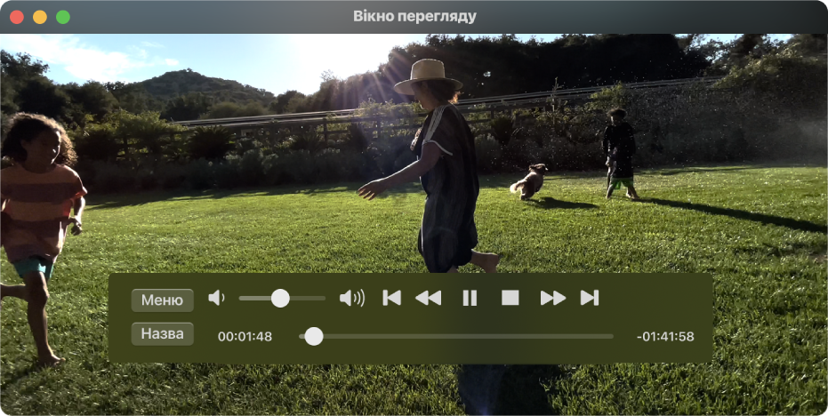 Вікно DVD-плеєра з відтворенням DVD-фільму.