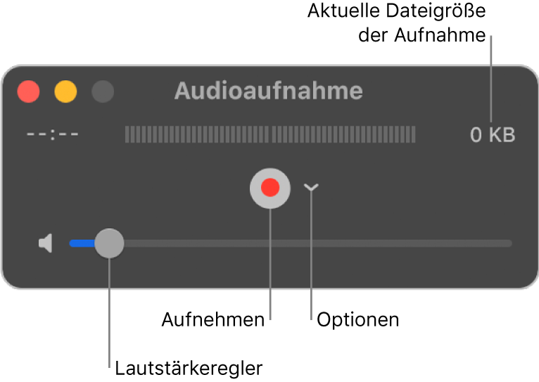 Das Fenster „Audio-Aufnahme“ mit der Aufnahmetaste und dem Einblendmenü „Optionen“ in der Mitte des Fensters sowie dem Lautstärkeregler unten