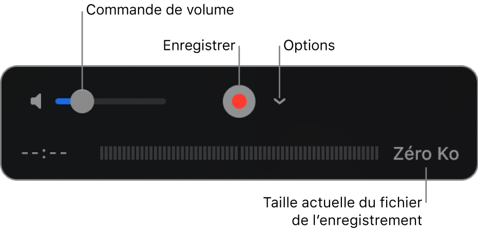 Les commandes d’enregistrement, notamment le contrôle du volume et le bouton Enregistrer, et le menu contextuel Options.
