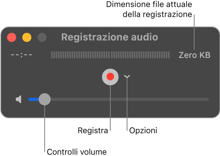 Finestra di “Registrazione audio” con il pulsante Registra e il menu a comparsa Opzioni al centro della finestra e il controllo del volume nella parte inferiore.