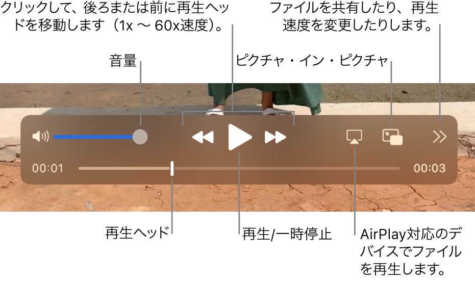 音量、早戻し、再生、早送り、AirPlay対応デバイスでのファイルの再生、共有と再生速度の変更のコントロール。