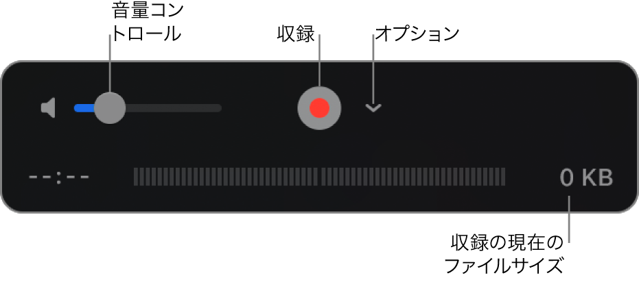 音量コントロール、収録ボタン、および「オプション」ポップアップメニューを含む収録コントロール。