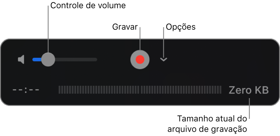 Os controlos de gravação, incluindo o controlo de volume, o botão Gravar e o menu pop-up Opções.