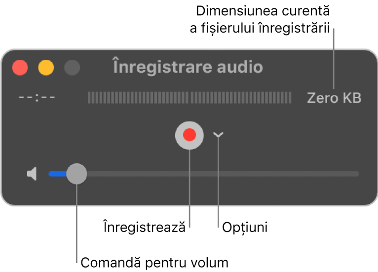 Fereastra Înregistrare audio, cu butonul Înregistrează și meniul pop-up Opțiuni în centrul ferestrei și comanda de volum în partea de jos.
