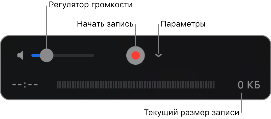 Элементы управления записью, включая регулятор громкости, кнопку «Запись» и всплывающее меню «Параметры».