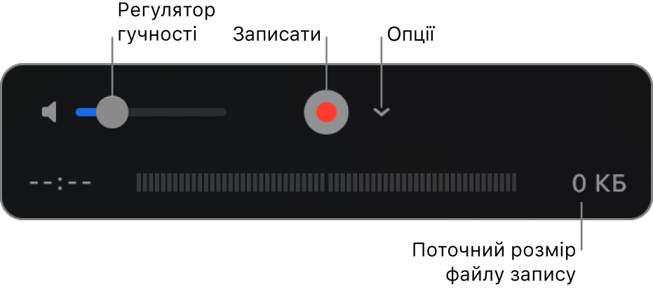 Елементи керування записом, в тому числі елементи керування гучністю, кнопка «Записати» і спливне меню «Параметри».