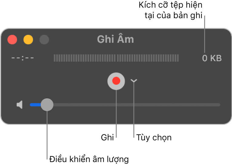 Cửa sổ Bản ghi âm thanh với nút Ghi và menu bật lên Tùy chọn nằm ở giữa cửa sổ.