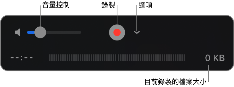 錄製控制項目，包括音量控制、「錄製」按鈕和「選項」彈出式選單。