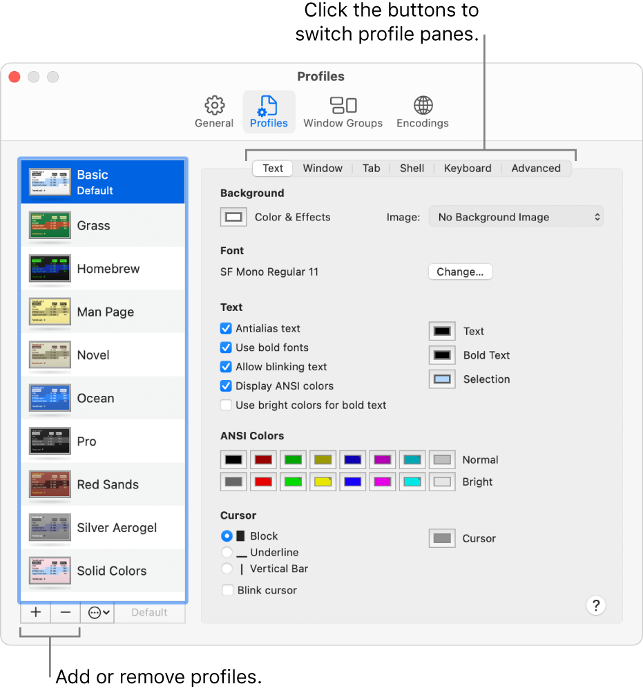 mac open application from terminal