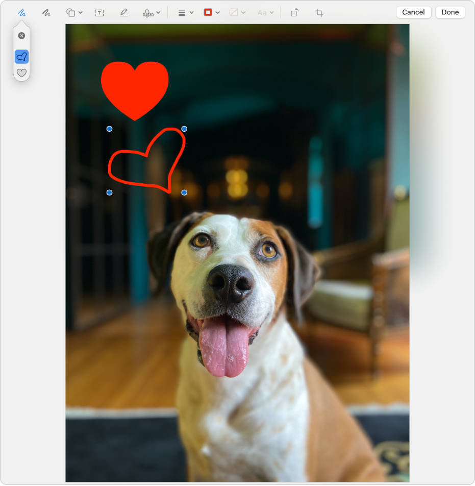 An image with a heart drawn on it using the Markup tools.