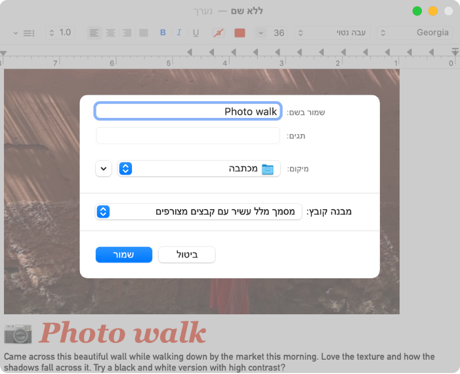 תיבת הדו-שיח ״שמור״ עם התפריט ״מבנה קובץ״ בחלק התחתון.