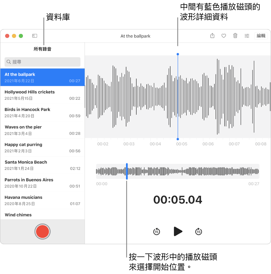 「錄音機」App 在左方資料庫中顯示錄音。所選錄音顯示在列表右方的視窗中，中間有藍色播放磁頭的波形詳細資料。錄音下方為波形概覽。按一下概覽中的播放磁頭來選擇開始位置。