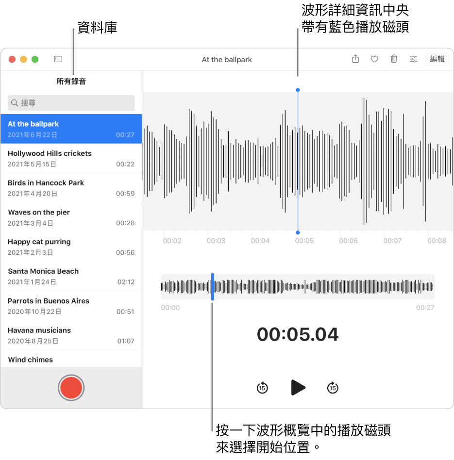 「語音備忘錄」App 在左方資料庫中顯示錄音。所選錄音顯示在列表右方的視窗中，中間有藍色播放磁頭的波形詳細資訊。錄音下方為波形概覽。按一下概覽中的播放磁頭來選取開始位置。