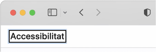 El cursor de VoiceOver (un contorn rectangular fosc) està enfocat en la paraula “Accessibilitat” a la pantalla.