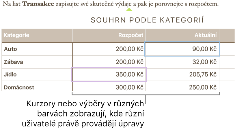 Kurzory nebo výběry v odlišných barvách ukazují, kde jiné osoby provádějí úpravy