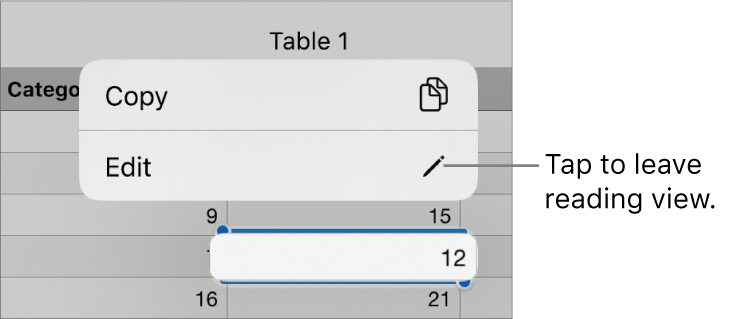 A table cell is selected, and above it is a menu with Copy and Edit buttons.