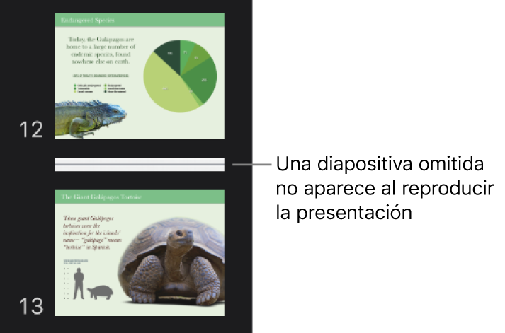 El navegador de diapositivas con una diapositiva omitida mostrándose como línea horizontal.