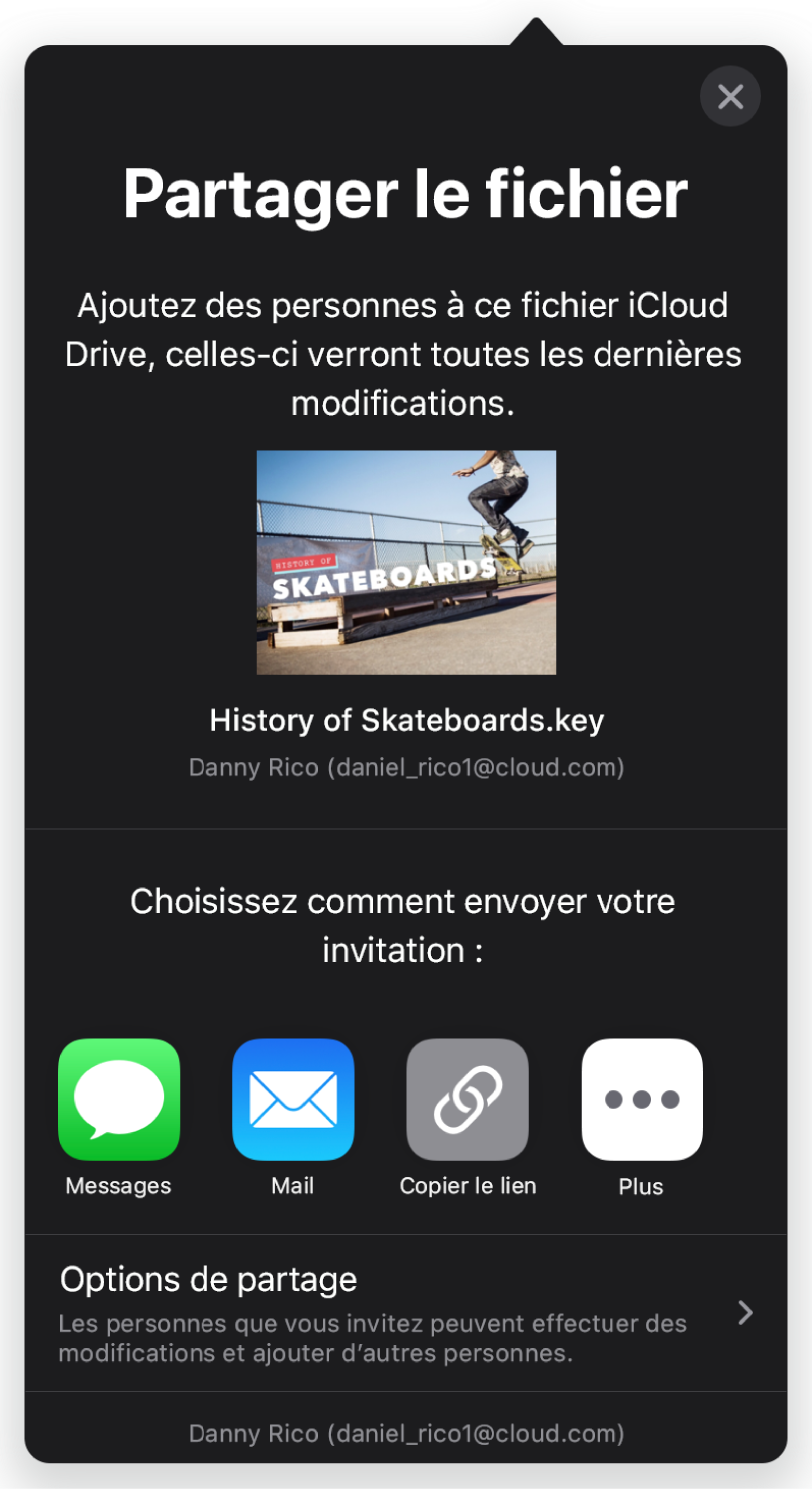 L’écran Ajouter affichant une image de la présentation à partager. On trouve en dessous les différents boutons pour envoyer l’invitation, y compris Mail, Copier le lien et Plus. Le bouton Options de partage se trouve en bas.