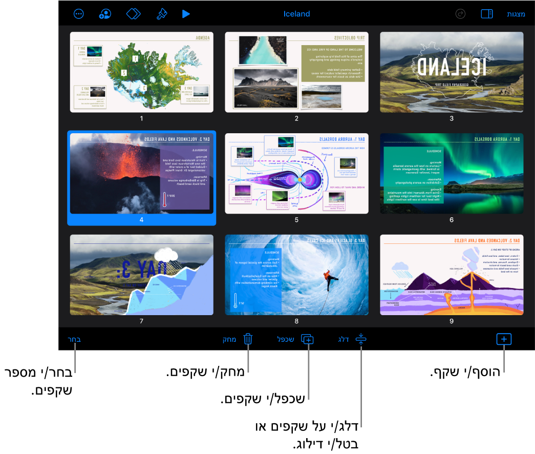 תצוגת שולחן אור עם כפתורים בחלק התחתון של המסך להוספה, דילוג, שכפול ומחיקה של שקפים ולבחירת שקפים מרובים.