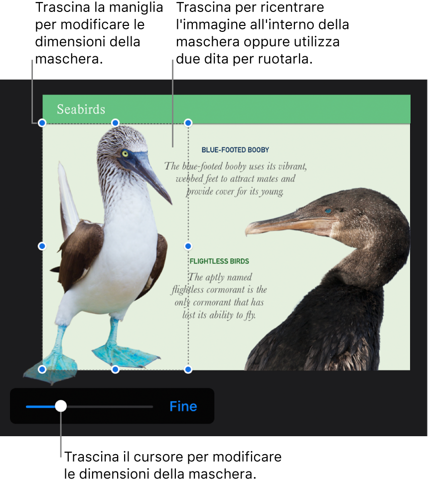 Il cursore della maschera nella parte inferiore di una foto.