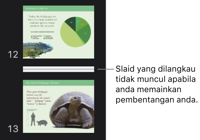 Penavigasi slaid dengan slaid dilangkau ditunjukkan sebagai garis mendatar.