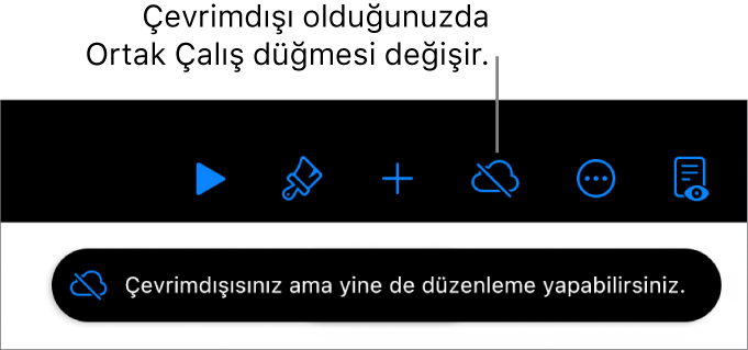 Ekranın en üstündeki düğmeler, üzerinde çapraz bir çizgi olan buluta dönüşmüş Ortak Çalış düğmesi ile birlikte. Ekrandaki bir uyarı “Çevrimdışısınız ama yine de düzenleyebilirsiniz” der.