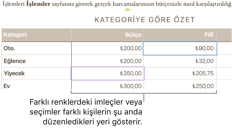 Farklı renklerdeki imleçler veya seçimler, farklı kişilerin nereyi düzenlediğini gösterir.