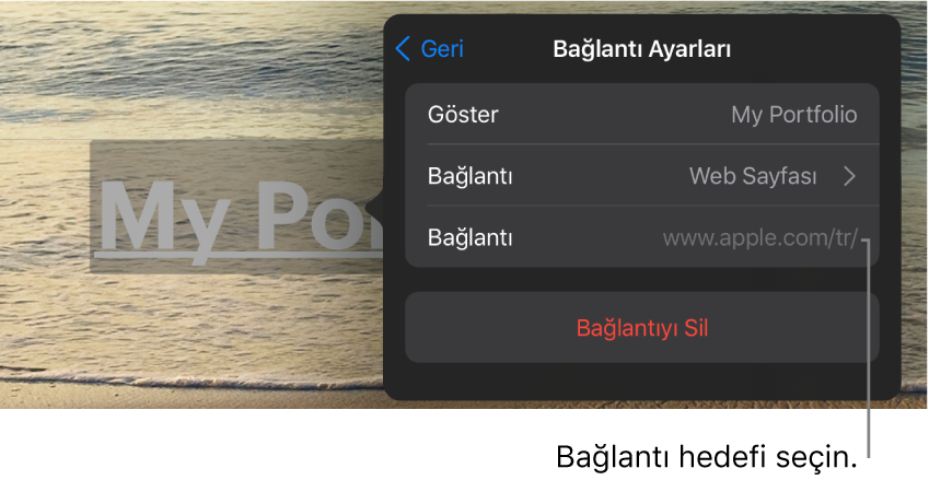 Göster, Bağlantı (Web Sayfası seçilidir) ve Bağlantı alanları ile Bağlantı Ayarları denetimleri. Bağlantıyı Kaldır düğmesi en alttadır.