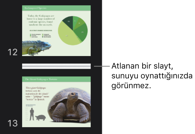 Yatay bir çizgiyle gösterilen atlanmış bir slaytı bulunan slayt kılavuzu.