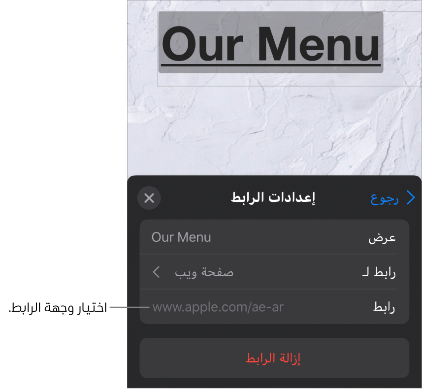 عناصر تحكم "إعدادات الرابط" مع الحقول "عرض" و"رابط لـ" (تم تحديد صفحة ويب) و"رابط". يظهر زر إزالة الرابط في الأسفل.