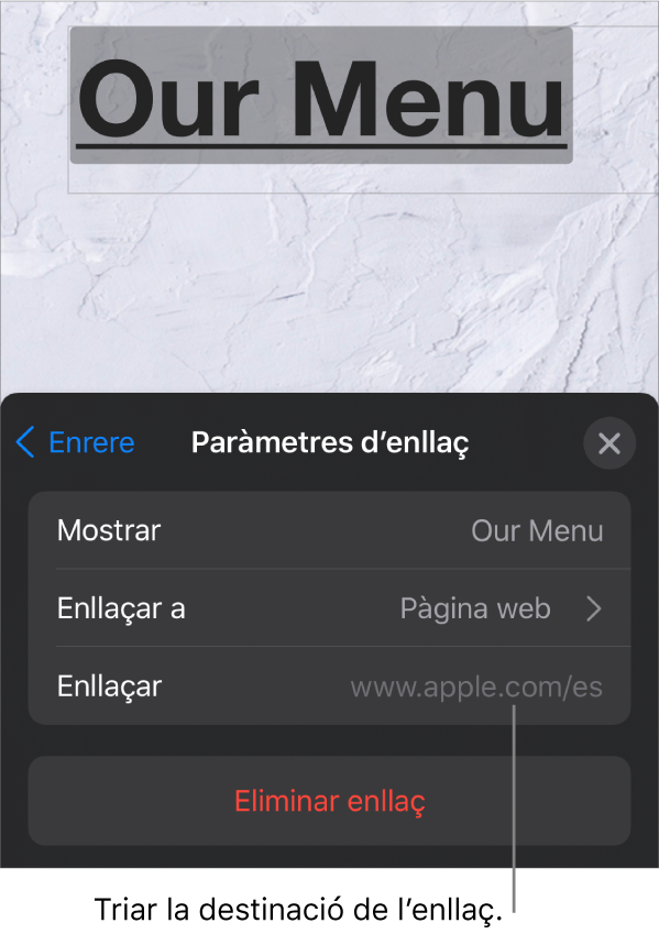 Els controls “Paràmetres d’enllaç” amb els camps Mostrar, “Enllaçar a” (amb l’opció “Pàgina web” seleccionada) i Enllaç. El botó “Eliminar enllaç” a la part inferior.