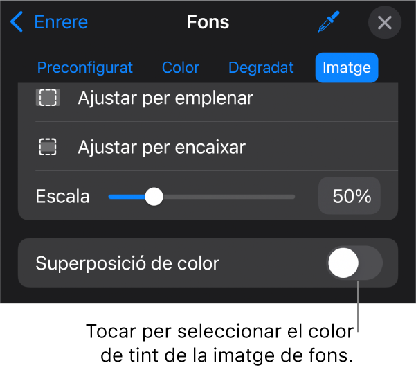 Els controls del fons amb una imatge com a fons de diapositiva i el control "Superposició de color" a la part inferior.