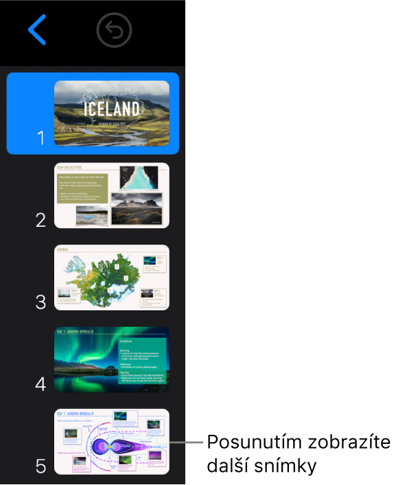 Navigátor snímků