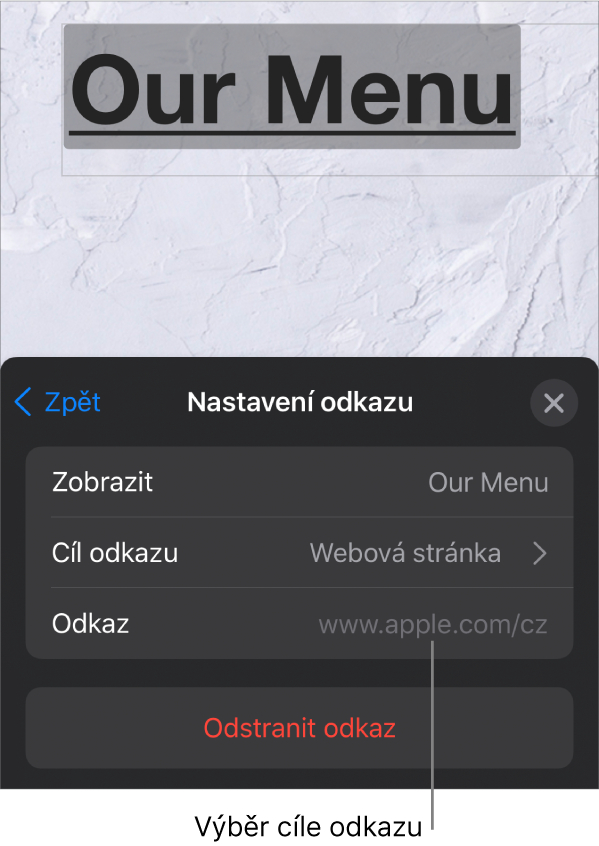 Ovládací prvky Nastavení odkazu s polem Zobrazit, Cíl odkazu (vybrána je Webová stránka) a Odkaz. Ve spodní části se nachází tlačítko Odstranit odkaz.