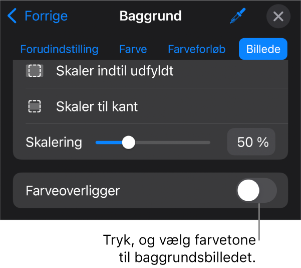 Betjeningsmulighederne til baggrund med et billede indstillet som lysbilledbaggrund og betjeningsmulighederne til Farveoverligger nederst.
