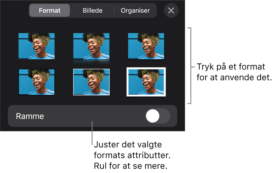 Fanen Format til menuen Format med objektformater øverst og derunder en betjeningsmulighed til ændring af rammen.