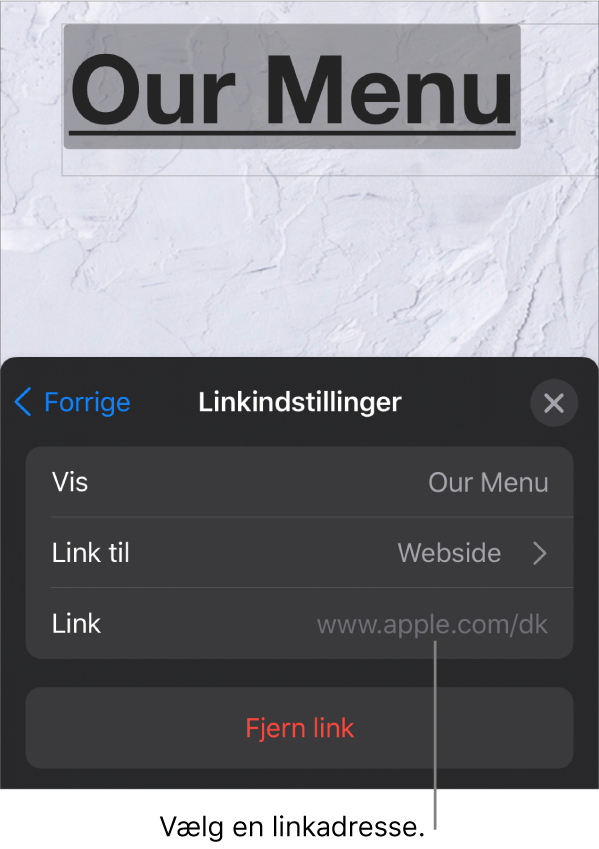 Betjeningsmulighederne til Linkindstillinger med felterne Vis, Link til (Webside er valgt) og Link. Knappen Fjern link vises nederst.