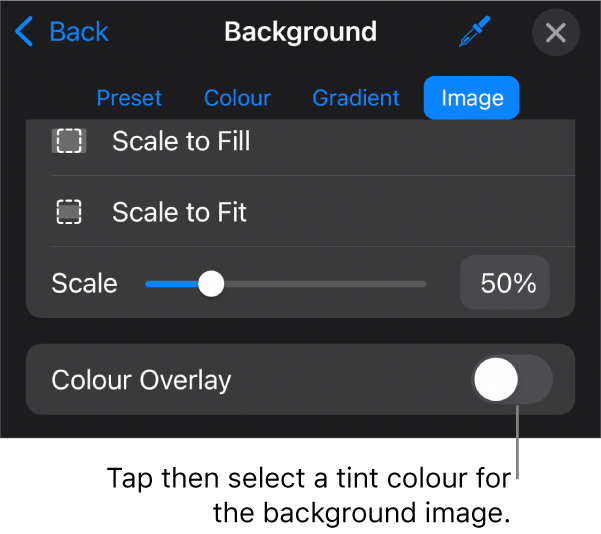 The Background controls with an image set as the slide background and the Colour Overlay control at the bottom.