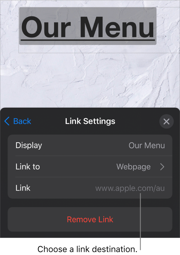 The Link Settings controls with fields for Display, Link To (Webpage is selected) and Link. The Remove Link button is at the bottom.