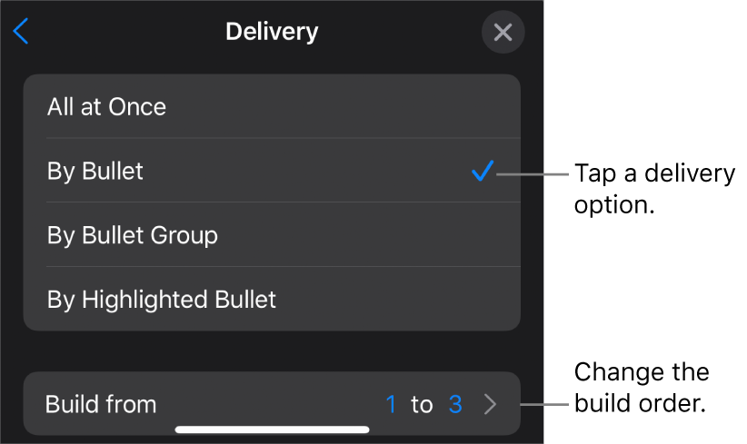 Delivery options in the Build In pane.