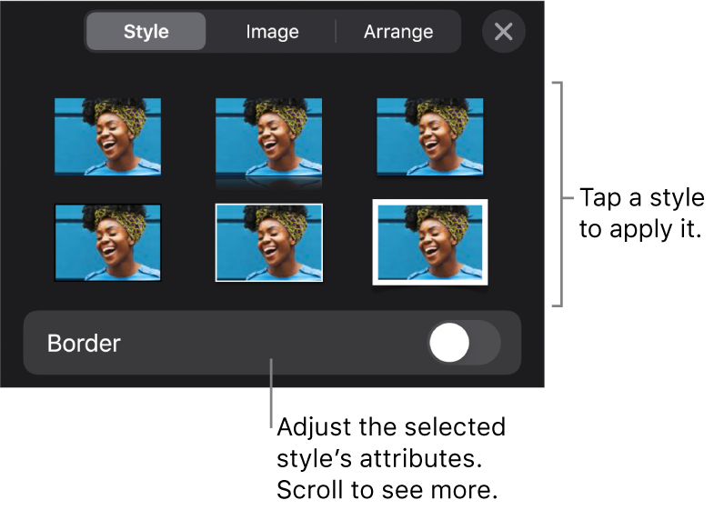 The Style tab of the Format menu with object styles at the top and a control below them to change the border.