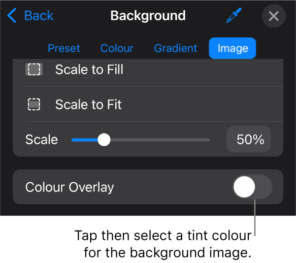 The Background controls with an image set as the slide background and the Colour Overlay control at the bottom.
