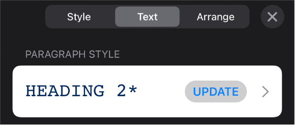 A paragraph style with an asterisk next to it and an Update button on the right.