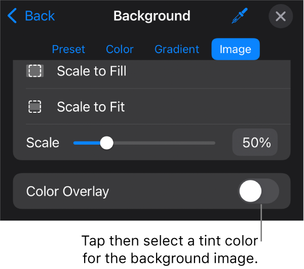 The Background controls with an image set as the slide background and the Color Overlay control at the bottom.