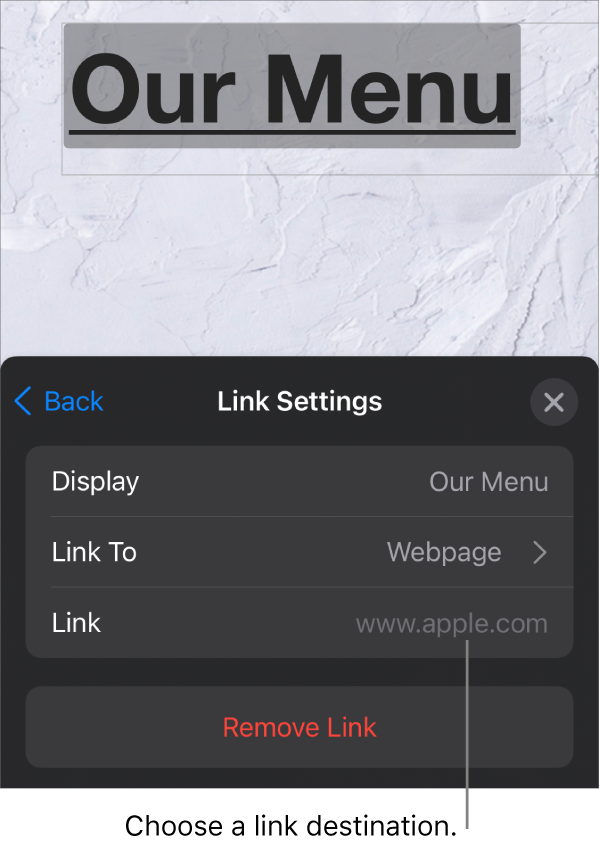 The Link Settings controls with fields for Display, Link To (Webpage is selected), and Link. The Remove Link button is at the bottom.